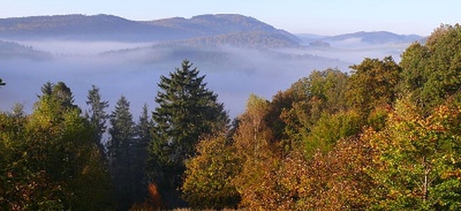 Vorschau September 2016