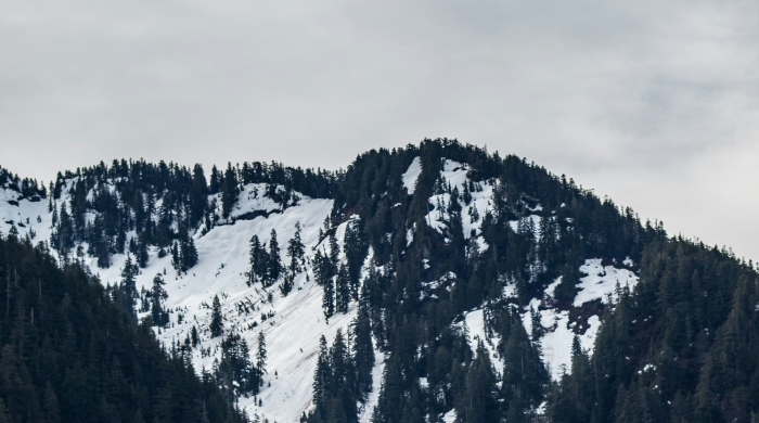 astrologische_monatsvorschau_januar26_newsletter