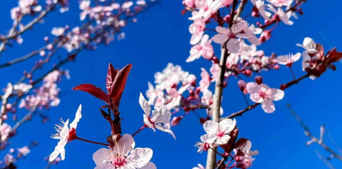 März 2026: Ein widersprüchlicher Monat zwischen Auflösungstendenzen und Selbstbehauptungswillen