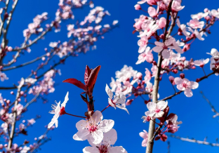 März 2026: Ein widersprüchlicher Monat zwischen Auflösungstendenzen und Selbstbehauptungswillen