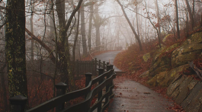 astrologische_monatsvorschau_november25-newsletter