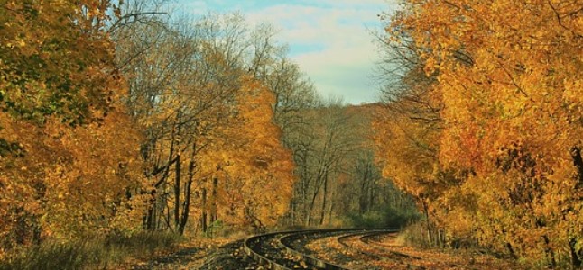 Vorschau Oktober 2016