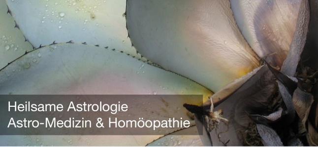 Newsletter Astropraxis