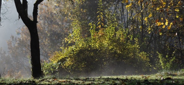 Vorschau Oktober 2016